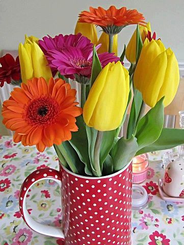 Светлана Елисеева(Мастюгина)