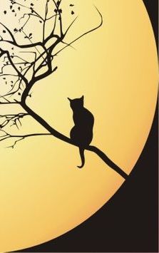 Дмитрий Егоров