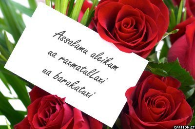 Дамеш Тажбенова