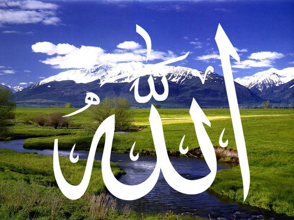 Талант Калмаматов