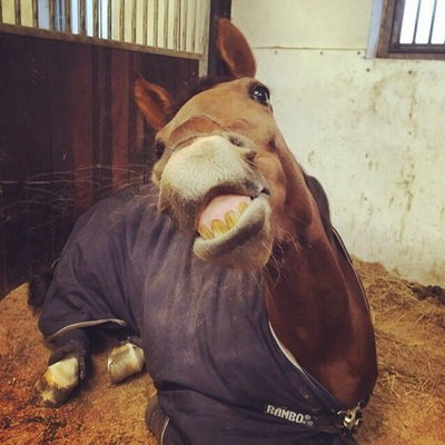 Машка Резаева