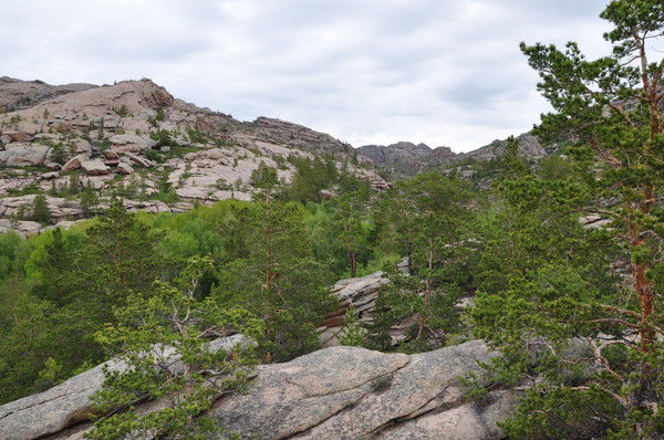 Спец. Отдел Учреждение