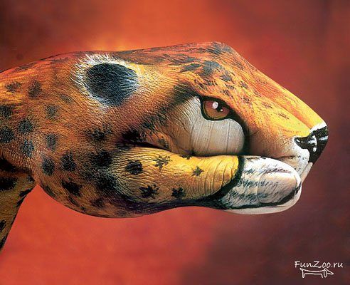 Ислам Насибов