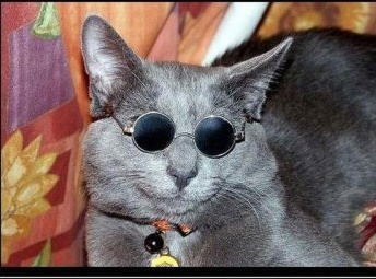 Сергей Ситников