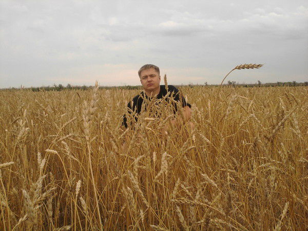 Андрей Шипилин