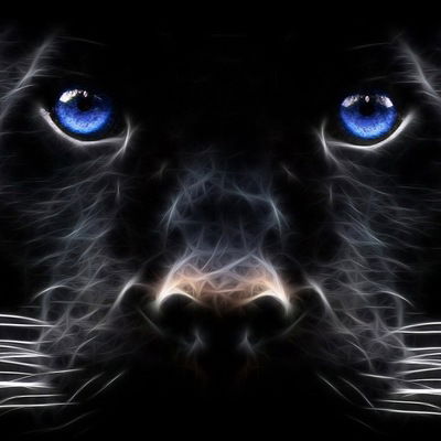 Надежда Пашко