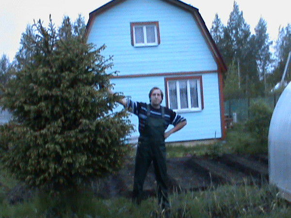 Дмитрий Богданов