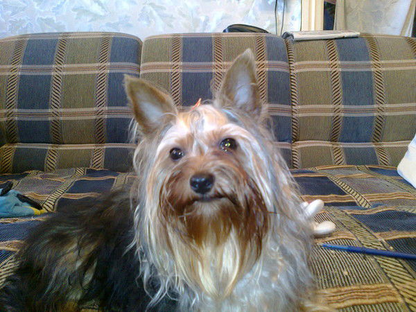 Сергей Назаров