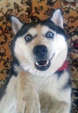 Алдар Базаров