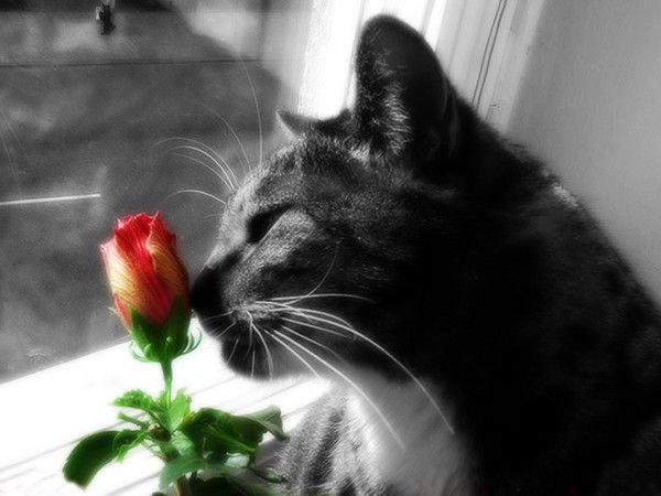 Ольга Трунова