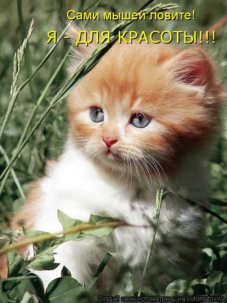 Евгения Емельянова