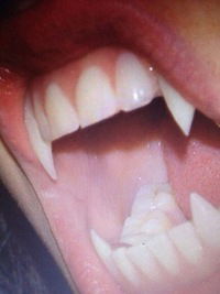 Александр Силюк