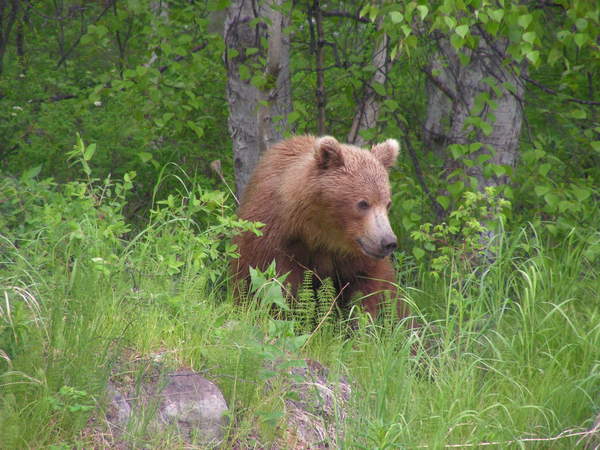 Сигулин Алексей