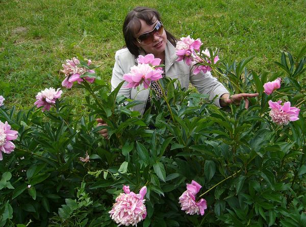 Наталья Янсон