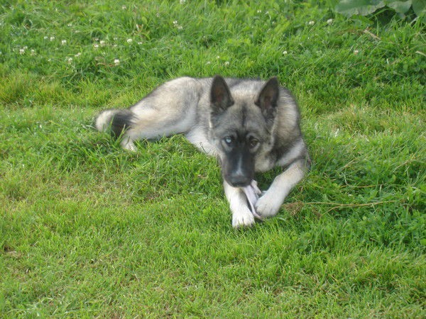 Слава Федоров