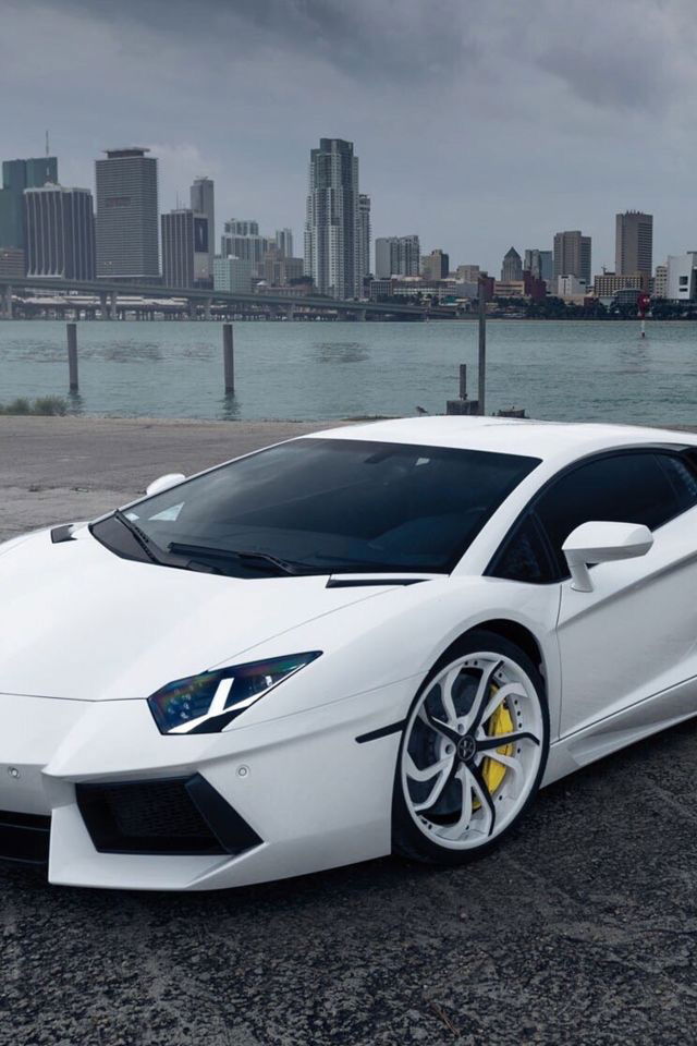 Dанияр Жанабилов