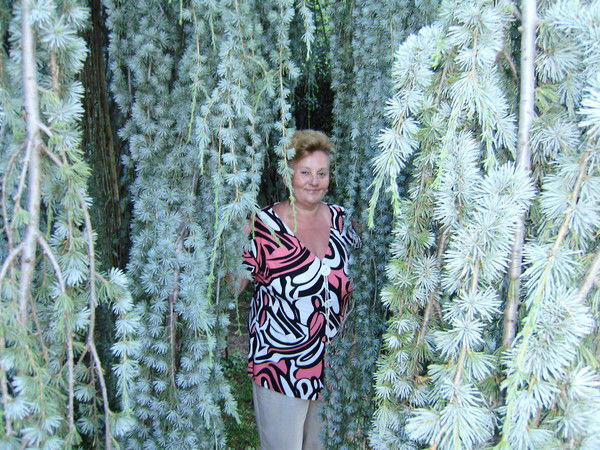 Елизавета Скоробогатая