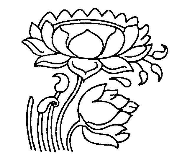 Алена Устинова