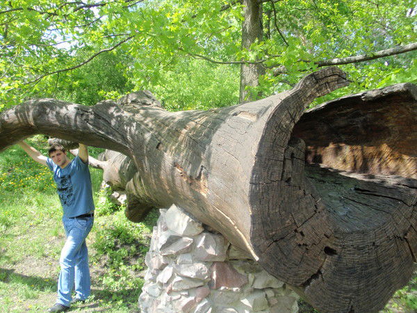 Максим Вартанов