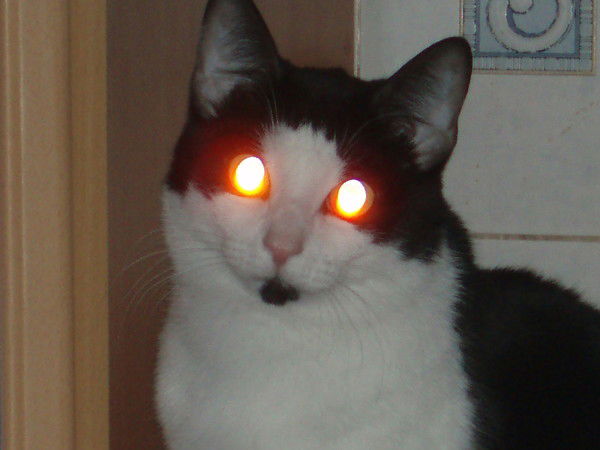 Валера Прытков