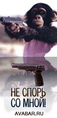 Андрей Стрельников