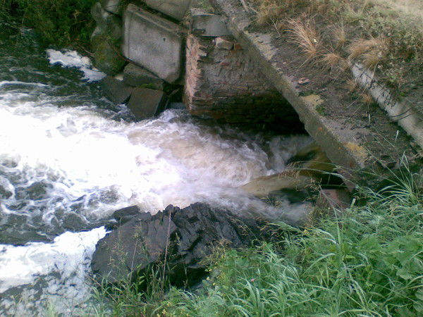 Наталья Ланбина