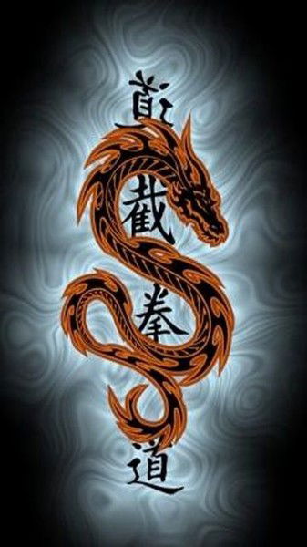 Владимир Фурин