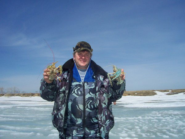 Владимир Квачев