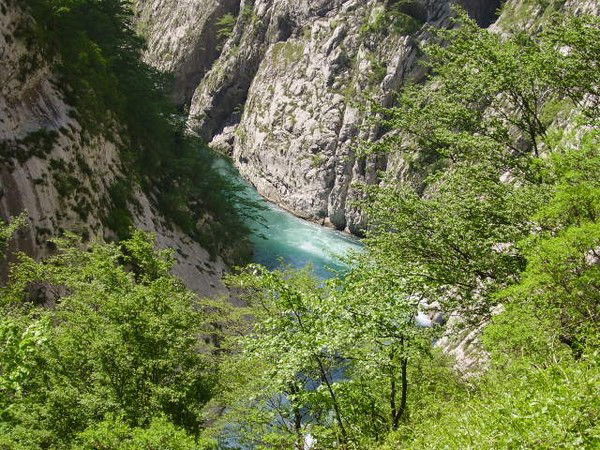 Янина Лютая