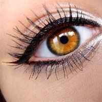 Елена Тарасова