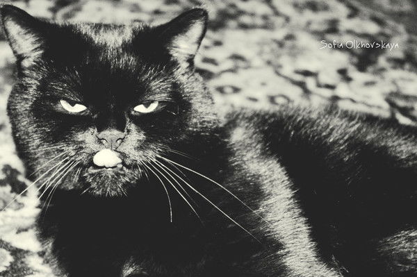 Луиза Хайретдинова