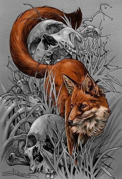 Пустынный Лис