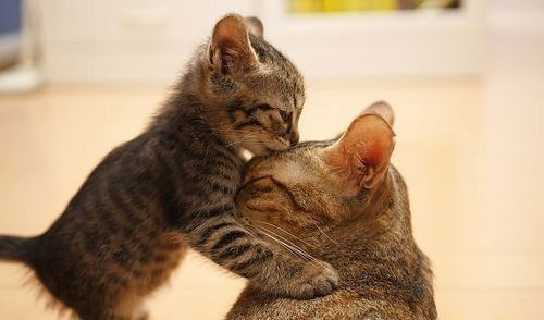 Наталья Александрова