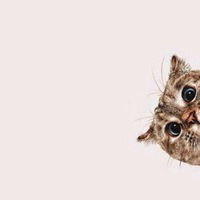 Асем Бешимова