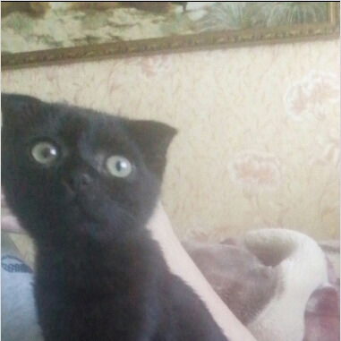 Данила Ильин