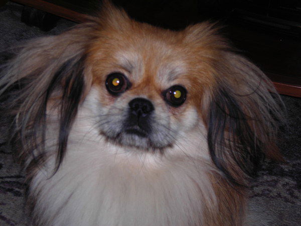 Ольга Брускова