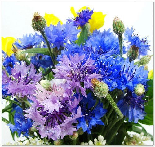 Татьяна Чернышова