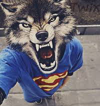 Саша Хорошайло