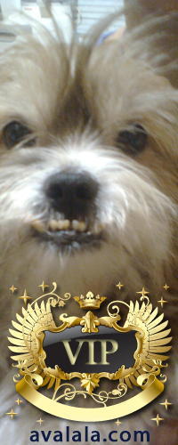 Виктор ,белоусов