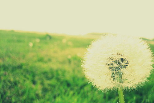 Наташа Полякова (Трусова)