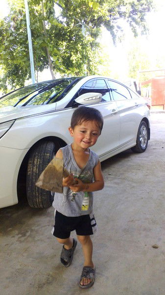 Ганчина Ганчина