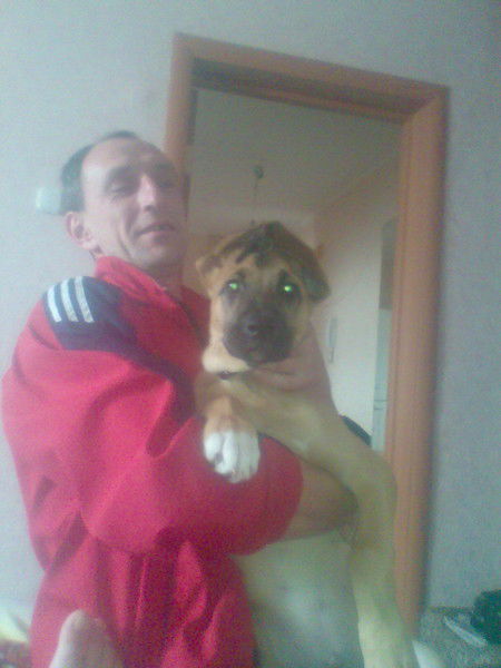 Александр Ахрименя