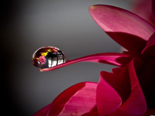 Звездочка Звезда