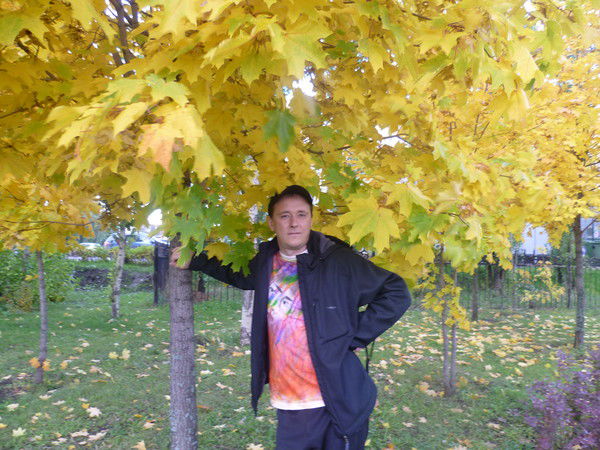 Андрей Мыльников