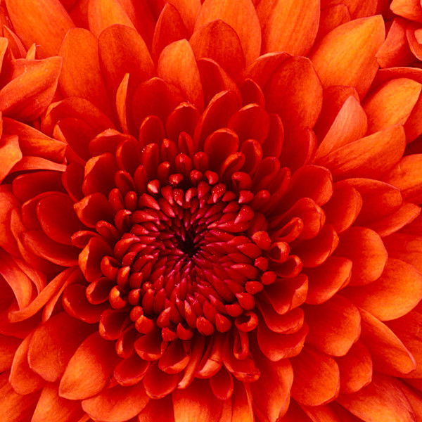 Лидия Панкратова