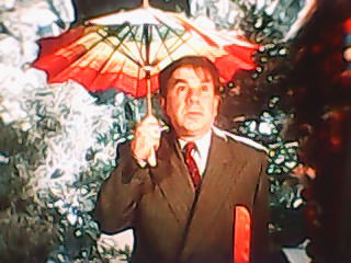 Виктор Верзелов