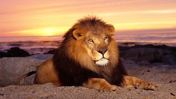 Светланна Виноградова