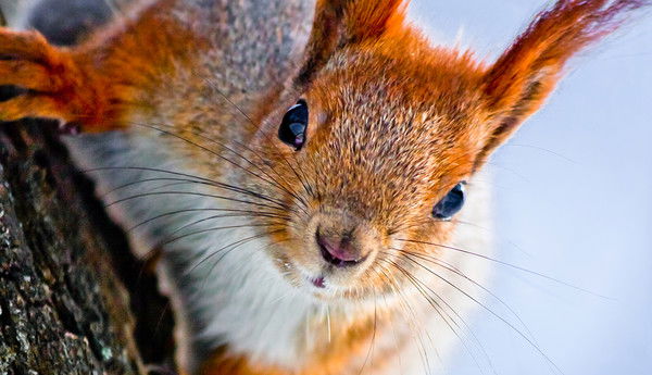 Акжан Утебаев