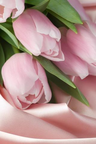 Катерина Егорова