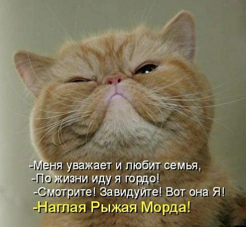 Алена Нихорошкина